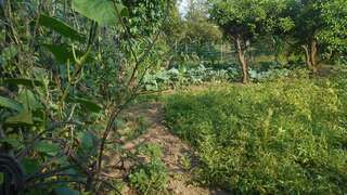 Гостевой дом Barbita Батуми-2